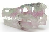 Colorful, Carved Fluorite Dinosaur Skull #218478-6